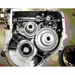 Wheel And Warms