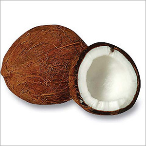 Fresh Coconut Fruit