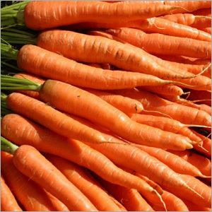 Carrot