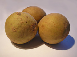 Fresh Sapodilla Fruit