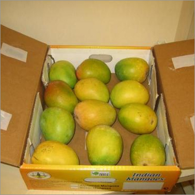 Kesar Mango