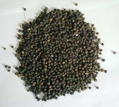 Pepper