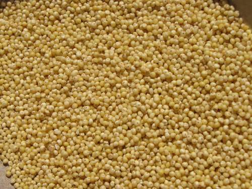 Grain