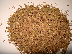 Cumin Seed