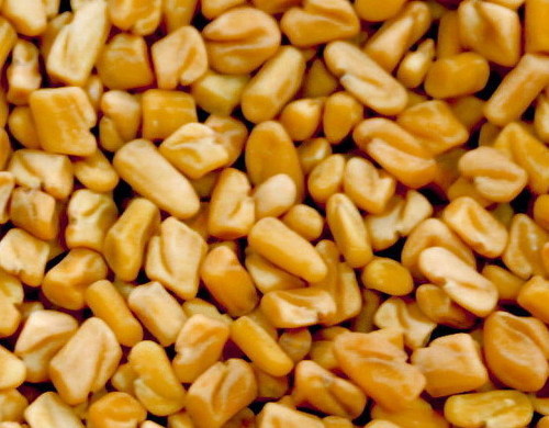 fenugreek seed