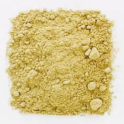 Mango Powder