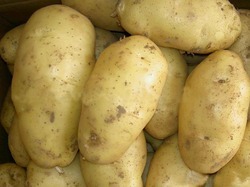 Fresh Potatoes