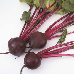 Beet Root
