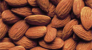 Nuts & Kernels