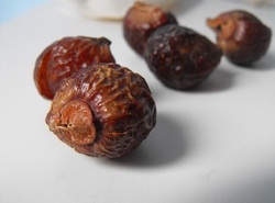 Soap Nuts