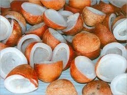 Coconut Shell Products