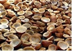 Coconut Copra