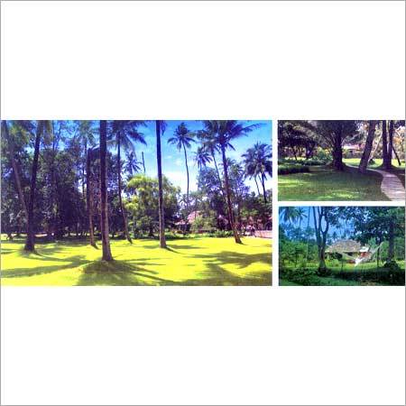 Best Honeymoon Resorts