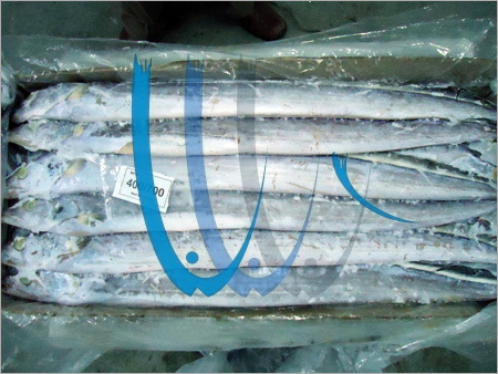 Sea Frozen Ribbon Fish By WEST COAST FOODS