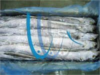 Fresh Frozen Ribbon Fish - Iqf Bqf Frozen, Whole | Enriched With Protein, Excellent Freshness And Aroma, Longer Shelf Life, Easy To Cook And Store