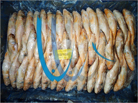 Frozen Whole Round Yellow Croaker