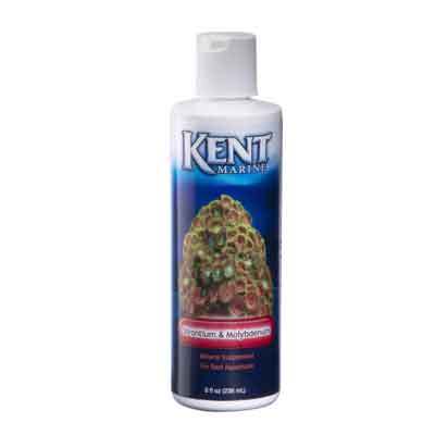KM STRONTIUM & MOLYBDENUM 8 OZ - Plastic Bottle, Clear Liquid | Coral Growth, Easy Dosage, Strong Skeletons