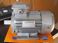Inducation Motor