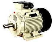 1hp Induction Motor