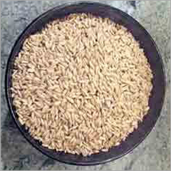 Organic Food Grains
