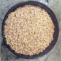 Organic Food Grains
