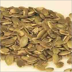 Carrot Oil Seeds
