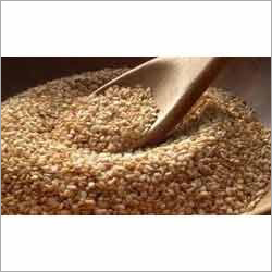 Sesame Oil Seeds