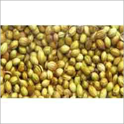Coriander Seeds