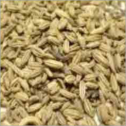 Funnel Seeds