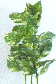 Barwell Plant E 1006