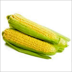 Corn