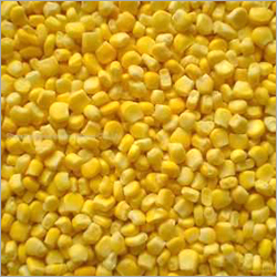 Corn - Yellow, Variable Size, 10% Moisture | Sweet Taste, Easy Cooking, Frozen Freshness, Bulk Packaging