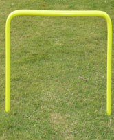 Speed Training and Agility Training