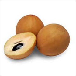 Fresh Sapota Fruit
