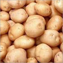 Fresh Preserved Potato