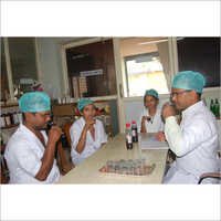 In Laboratory Testing Samples