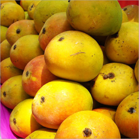 Alphonso Mangoes