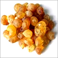 Talha Arabic gum