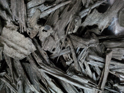Agarwood