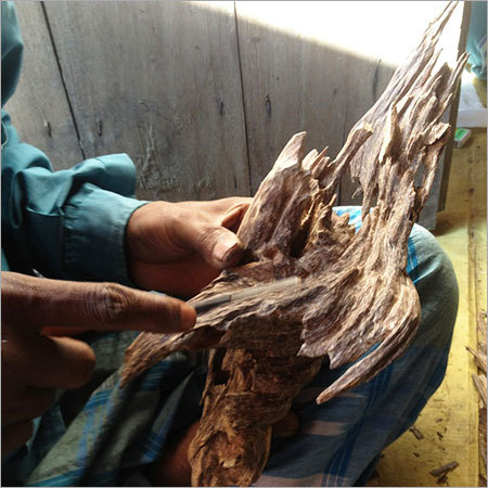 Indian Agarwood Chips