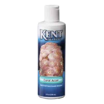 KM CORAL ACCEL 8 OZ