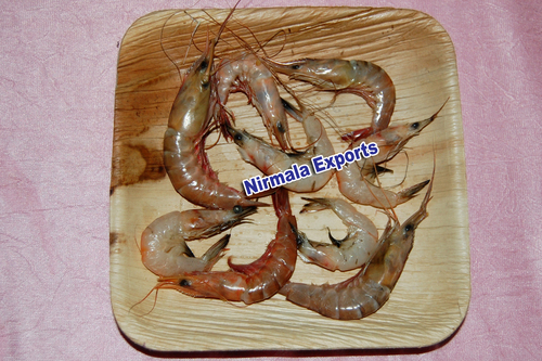 Disposable tableware