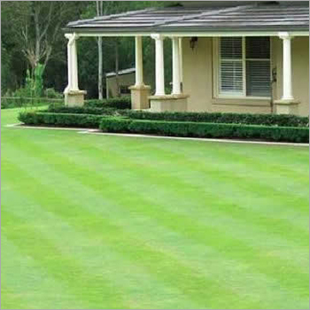 Lawns & Garden