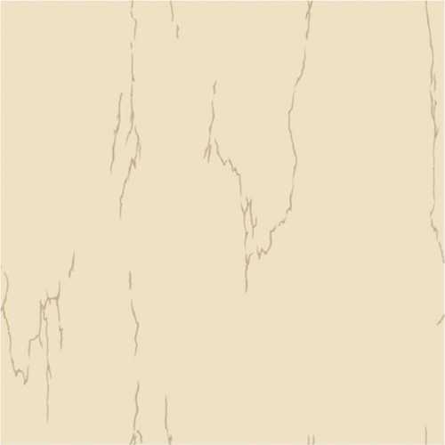 ARENA Vitrified tiles