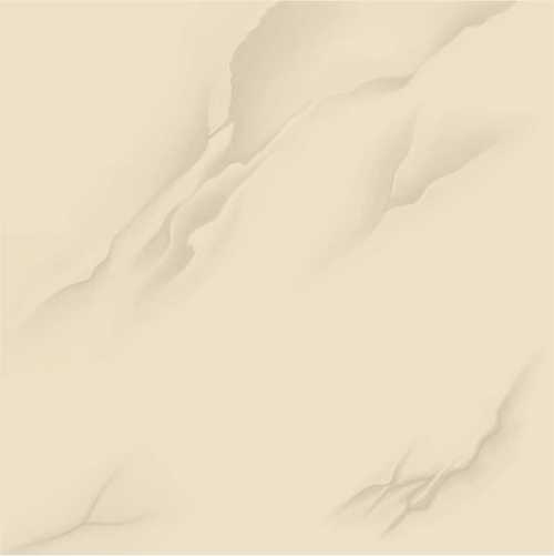 Royal Vitrified Tiles