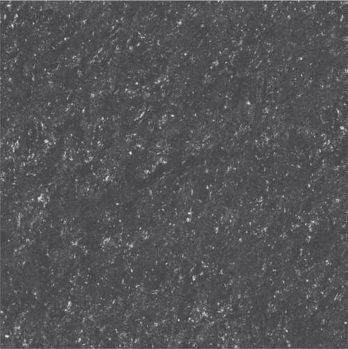 PALATIAL BLACK Vitrified Tiles