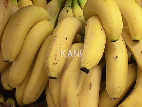 Fresh Yellow Banana