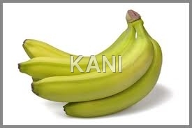 Green Plantains Banana
