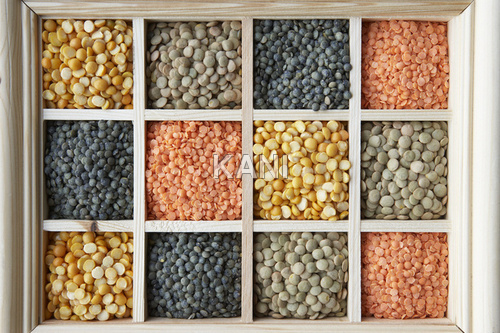 Organic Pulses