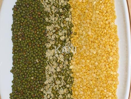 Fresh Moong Kernal